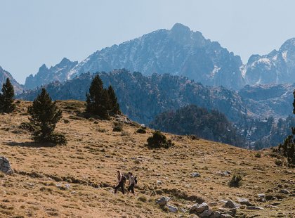 Trails in the Pyrenees lead us through fir forests to craggy alpine heights where mountain goats scramble.