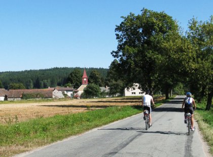Cycle on quiet Bohemian country lanes through a picturesque landscape filled with vineyards, villages and castles.