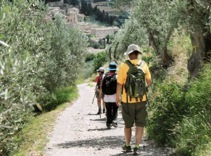 Our hike to the village of Spello, with its beautifully intact pink limestone medieval center, passes through olive groves and vineyards. As we enter the Old Town, we follow cobblestone streets that meander in and out of flower-strewn alleyways.