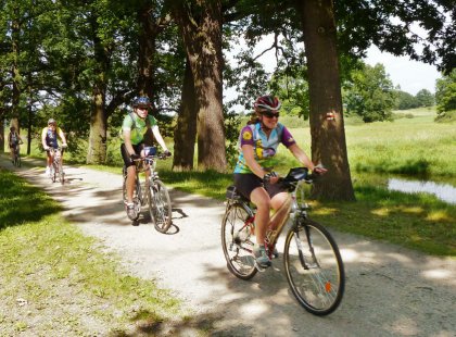 Cycle on quiet country roads through Bohemian landscapes past idyllic ponds, forests, en route to walled city of Trebon.