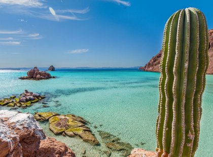 Discover the many hidden treasures nestled between two seas in Baja Sur. Photo by Colin Ruggiero.
