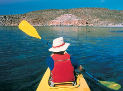 We paddle the waters of the Sea of Cortez, the most biologically rich body of water on Earth.