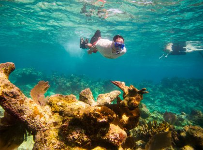 Sea kayak, snorkel, paddle board, and dive among turquoise waters and coral reefs.
