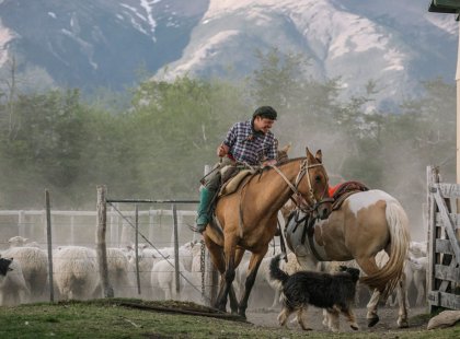 Long time traditions continue on many of the estancias in Patagonia.