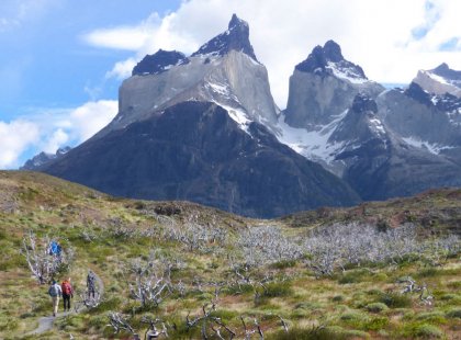 Non-work days are built into the program, allowing for opportunities to see the iconic landscapes of Torres del Paine.