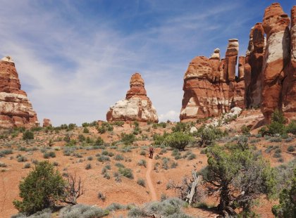 Take a hike through the otherworldly landscapes of the Needles District in Canyonlands National Park.