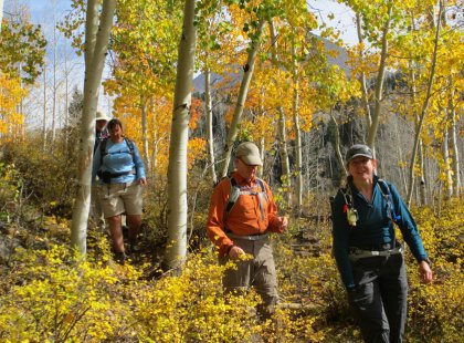 Spend a day hiking at cooler elevations among the aspen and juniper-pinion pine forests of the La Sal Mountains.
