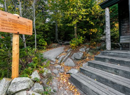 Sample the famous Appalachian Trail with REI on this fully guided adventure!