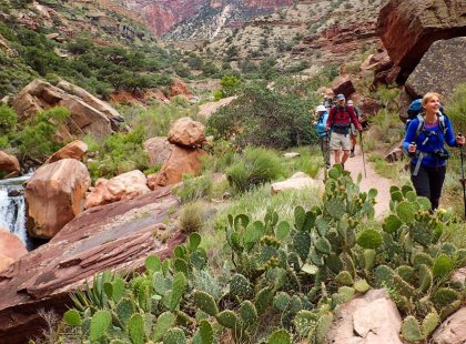 Discover the wonders of the Grand Canyon as we hike below the rim.