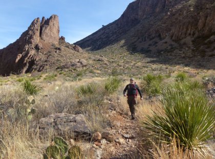Our hikes through deserts and mountains provide a fantastic glimpse at the region’s diverse flora and fauna.