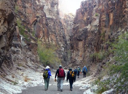 Explore a slot canyon in Big Bend Ranch State Park.