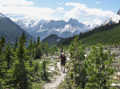 Set out with our guides on scenic hikes offering breathtaking views of the jagged peaks of the Canadian Rockies.