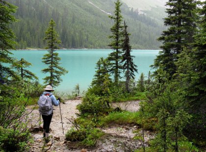 Our day hikes lead us along some of the most picturesque trails in Banff, Jasper, Yoho and Kootenay National Parks.