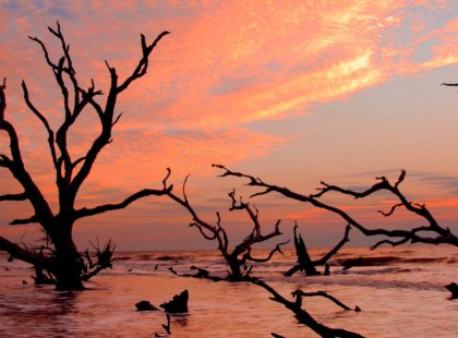Boneyard Beach at sunrise, one of nature's most stunning masterpieces.