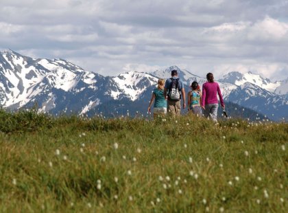 Enjoy stunning views of the Olympic Mountain Range as we hike through high alpine meadows.