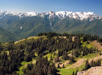 Our itinerary showcases some of the most beautiful areas of Olympic National Park, from its harsh coastline to its serene alpine meadows.