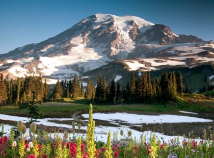 Mount Rainier is a focal point of the Seattle skyline and a beautiful place for families to explore, discover and appreciate nature.