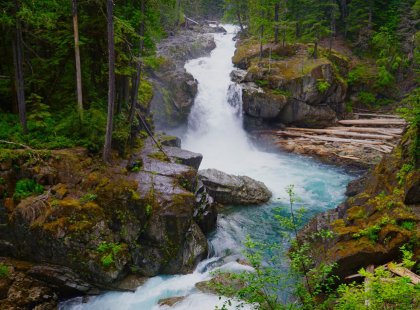 More than just a mountain, Mount Rainier National Park provides us with waterfalls and lush forests to explore on this adventure.