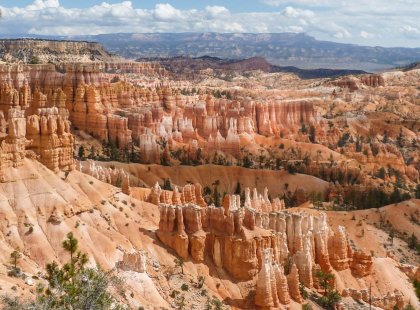 Bryce Canyon's unique striated rock spires