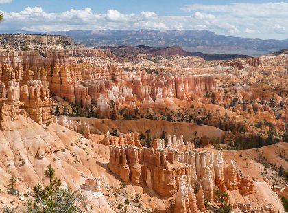 Bryce Canyon National Park is an astounding sight when the sunlight reflects off the orange hoodoos.