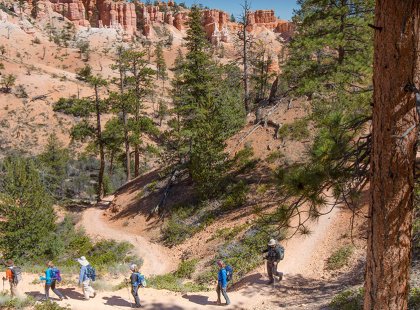 Feast your eyes on the dramatic multi-colored desert landscape of the Dixie National Forest.