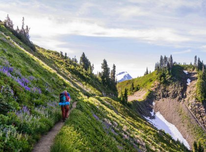 Our trail leads through lush hillsides and stunning alpine meadows.