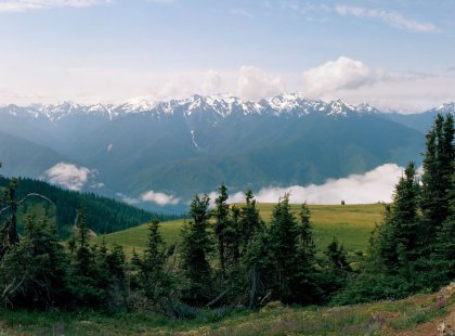 Our itinerary showcases some of the most beautiful areas of Olympic National Park, from its harsh coastline to its serene alpine meadows.