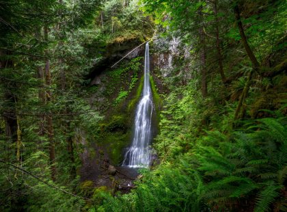 Hike to Marymere Falls, one of the most enchanting cascades in the park.