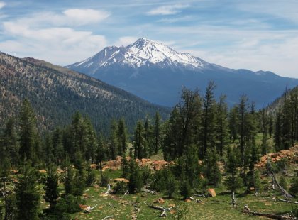 Breathtaking views of Mount Shasta , the Klamath Mountains and the Southern Cascade range along the PCT.