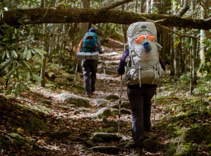 We spend four days backpacking through a diverse range of scenery, from rocky ridges to lush canopy forests.