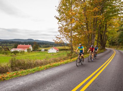 Our cycling route on Orcas Island meanders past family farms and small orchards.