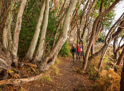 Scenic hikes showcase the Islands’ lovely landscapes and diverse habitats.