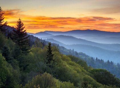Experience a portion of the famed Appalachian Trail on this four-day backpacking adventure through the Smokies.