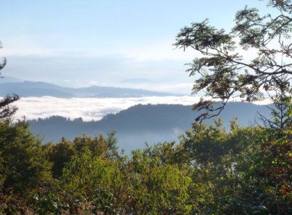 Our travels along the Appalachain Trail offer iconic views of Great Smoky Mountains National Park.