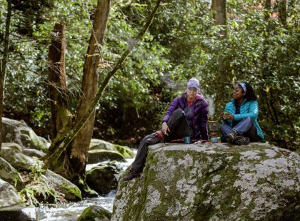 We’ll have time to immerse ourselves in the natural splendor of the Smokies and connect with fellow, like-minded travelers.