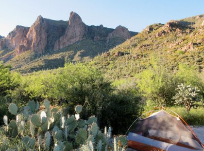 Each night, we camp at lovely campsites with time to rest, relax and relish the beauty of the Sonoran Desert.