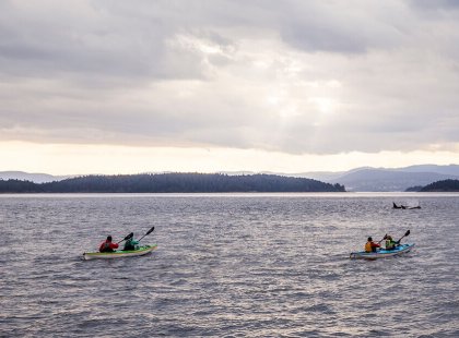 Keep an eye out for local wildlife while paddling through some of the most remarkable scenery on the west coast.