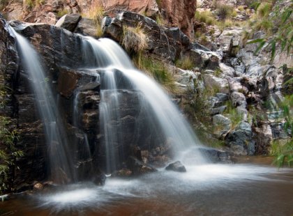 We explore Sabino Canyon and hike to Seven Falls, a lovely seven-tiered waterfall that provides our first glimpse of the surprising diversity and natural beauty of the Sonoran Desert.
