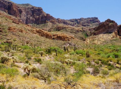 Treat yourself to a winter getaway in the desert sun and learn about the natural and human history of this remote yet remarkable region of the U.S.A.