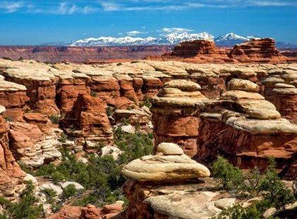 Discover the unique sandstone formations of Canyonlands’ Needles District.