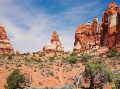 Hike among Canyonlands’ towering sandstone pinnacles to Chesler Park.