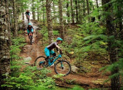 Shred through trees and over roots riding top-of-the-line bikes.