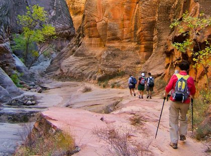 Hiking Zion's colorful canyons