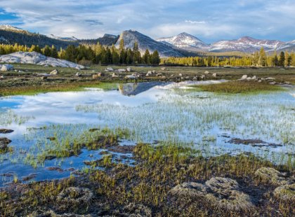 Discover the tranquil beauty of Tuolumne Meadows and the high country.