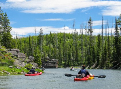 Join a kayaking trip filled with awe-inspiring sights and fun-filled adventure in America's original national park: Yellowstone!