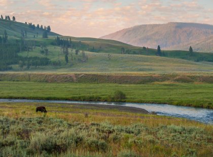 We begin our hike in the Lamar Valley, well-known for its tranquil beauty and wildlife viewing.