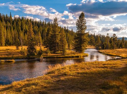 Approximately 30 miles long, the Bechler River Trail provides a true wilderness adventure and one of the best ways to experience the grandeur of Yellowstone in a short period of time.