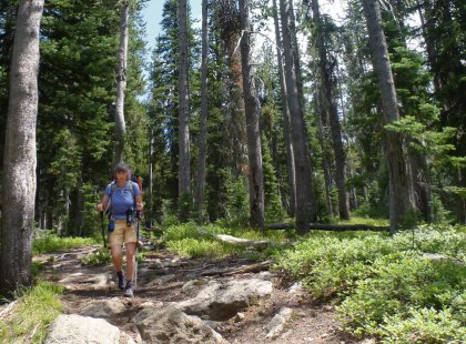 Backpacking through the serene and beautiful meadows and forests of southwestern Yellowstone is a truly unforgettable backcountry experience.