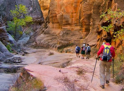 Hiking Zion's colorful canyons