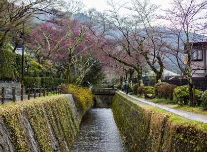 Japan on a Shoestring – Tokyo to Kyoto